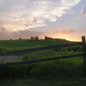 Meet your Posher, Freda